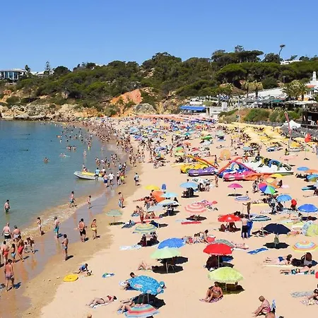 Casa Magna Апартаменты